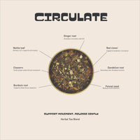 CIRCULATE view 3